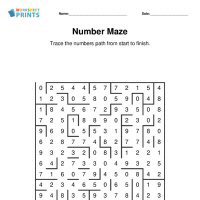 Number Maze Puzzle
