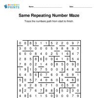 Same Number Maze Puzzle
