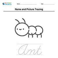 Picture Tracing