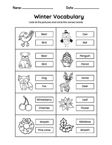 Winter Vocabulary