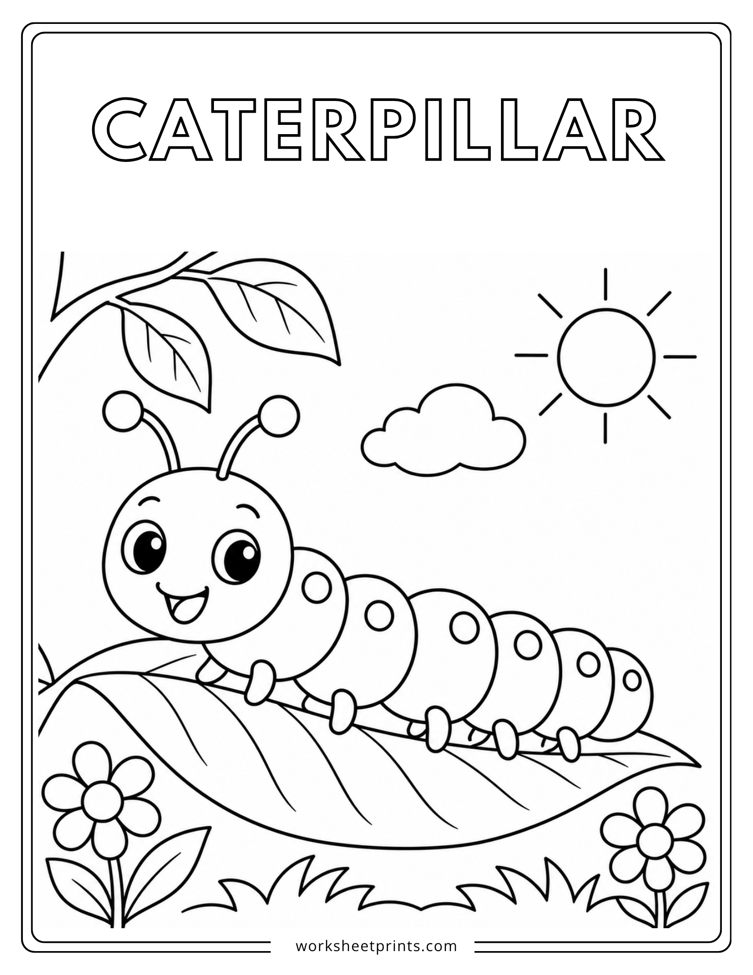 Insects