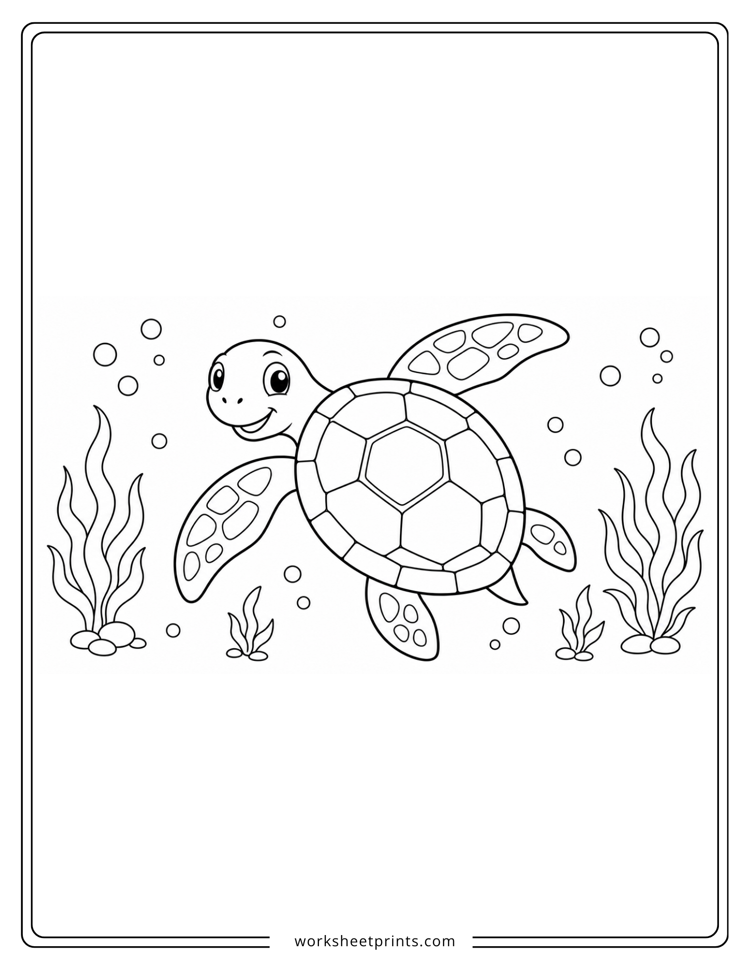 Ocean Animals