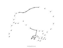 Kiwi Bird Connect the Dots