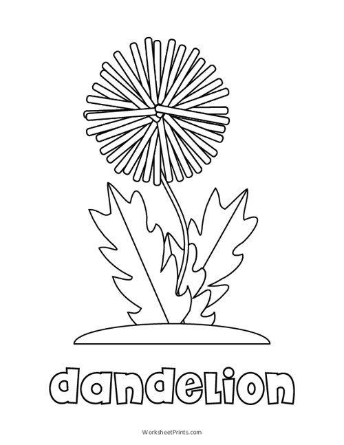 Printable Dandelion Coloring Page | WorksheetPrints
