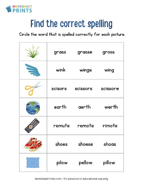 Identify the Correctly Spelled Word - Spelling Worksheet