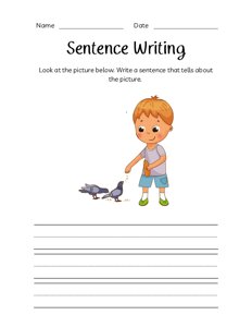 Sentence Writing - Boy Feeding Birds
