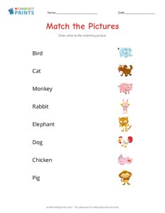 Match the Pictures - Cute Animals