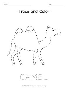 Camel - Trace and Color