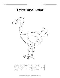 Ostrich - Trace and Color