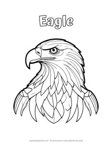 Eagle - Coloring Page