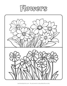 Flowers - Coloring Page