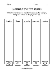 Describe the Five Senses