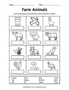Farm Animal Names - #2