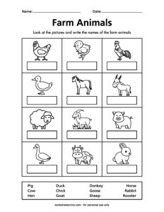 Farm Animal Names - #1