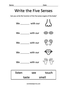 Function of the Five Senses