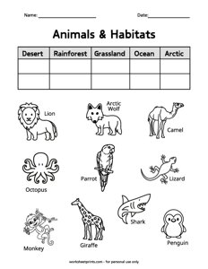 Animal Habitat Classification