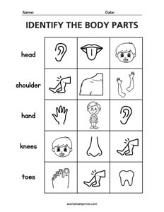 Identify the Body Parts