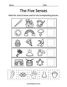Identify the Five Senses