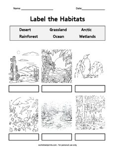 Label the Animal Habitats