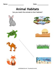 Match the Animal Habitats