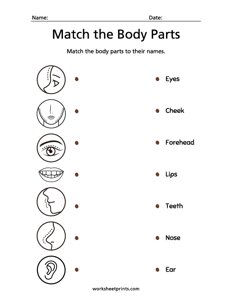 Match the Body Parts