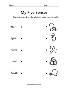 Match the Five Senses