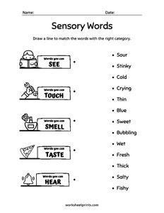 Match the Sensory Words