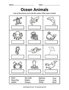 Ocean Animal Names - #1