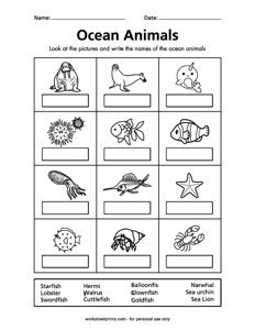 Ocean Animal Names - #2