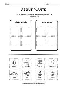 Plant Needs and Parts