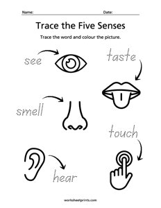 Trace the Five Senses
