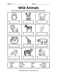 Wild Animal Names - #1