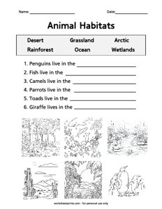Write the Animal Habitats