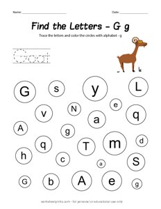 Find the Uppercase and Lowercase Letter G