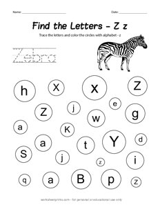 Find the Uppercase and Lowercase Letter Z