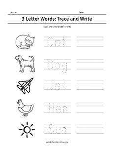 3 Letter Words: Trace and Write - #2