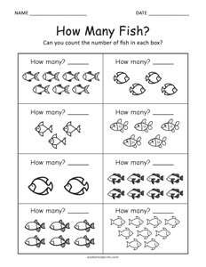 Counting Fish