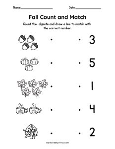 Fall Count and Match