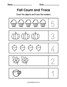 Fall Count and Trace