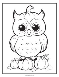 Owl and Pumpkins