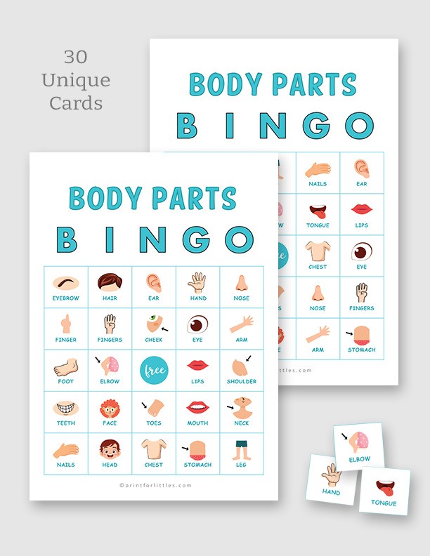 Printable Body Parts Bingo