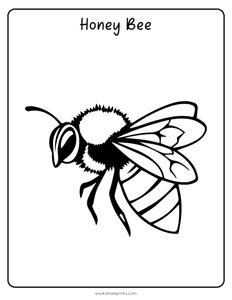 Honey Bee Coloring Page
