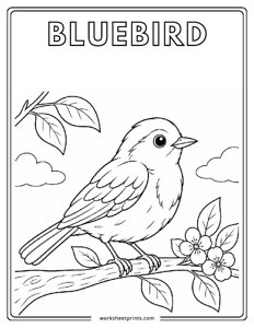 Bluebird - Birds Coloring Sheets