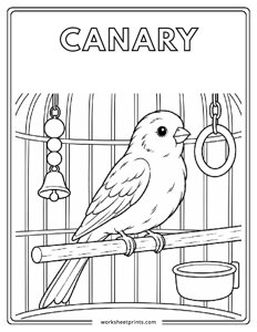Canary - Pet Animals Coloring Sheets