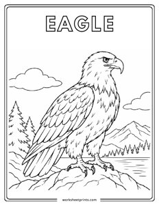 Bald Eagle - Birds Coloring Sheets