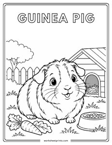 Guinea Pig - Pet Animals Coloring Sheets