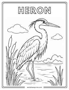 Heron - Birds Coloring Sheets