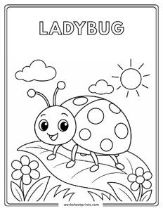 Ladybug - Insects Coloring Sheets