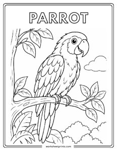 Parrot - Birds Coloring Sheets