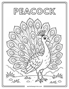 Peacock - Birds Coloring Sheets